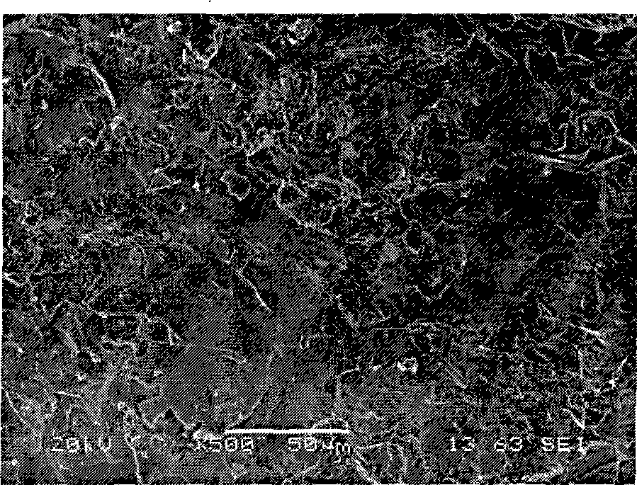 Pr/Nd based biphase composite permanent magnetic material and block body preparing method thereof