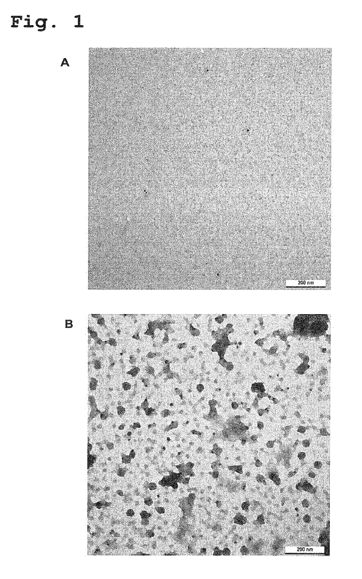 Recombinant human antibodies for therapy and prevention of polyomavirus-related diseases