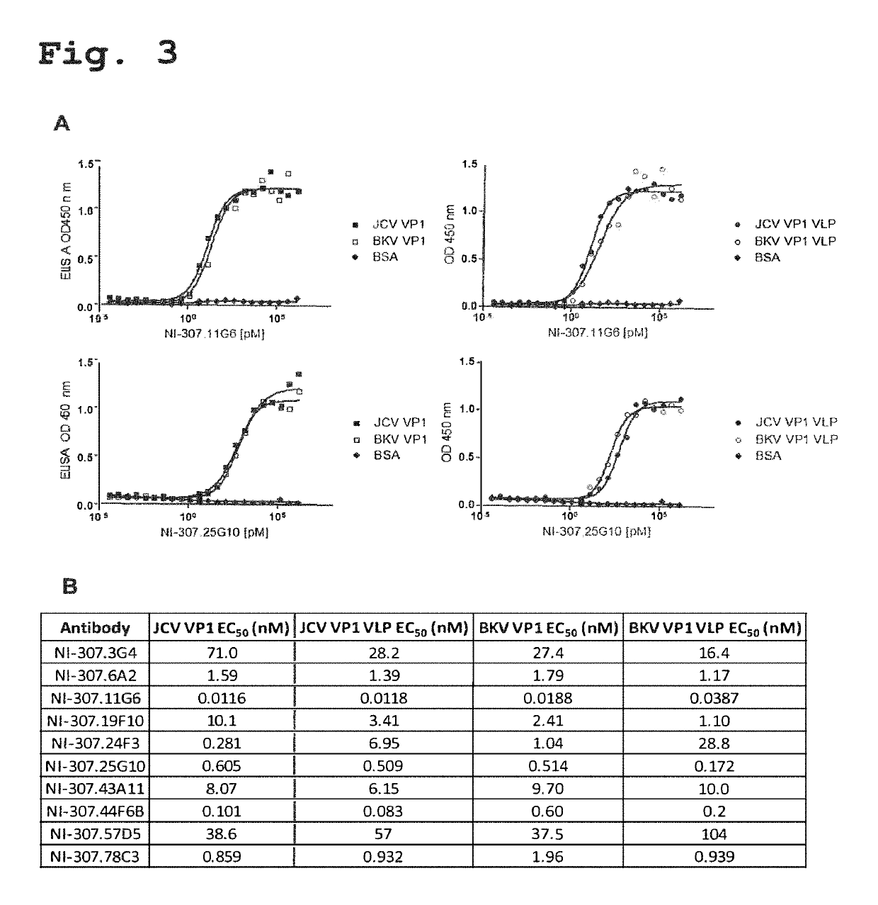 Recombinant human antibodies for therapy and prevention of polyomavirus-related diseases