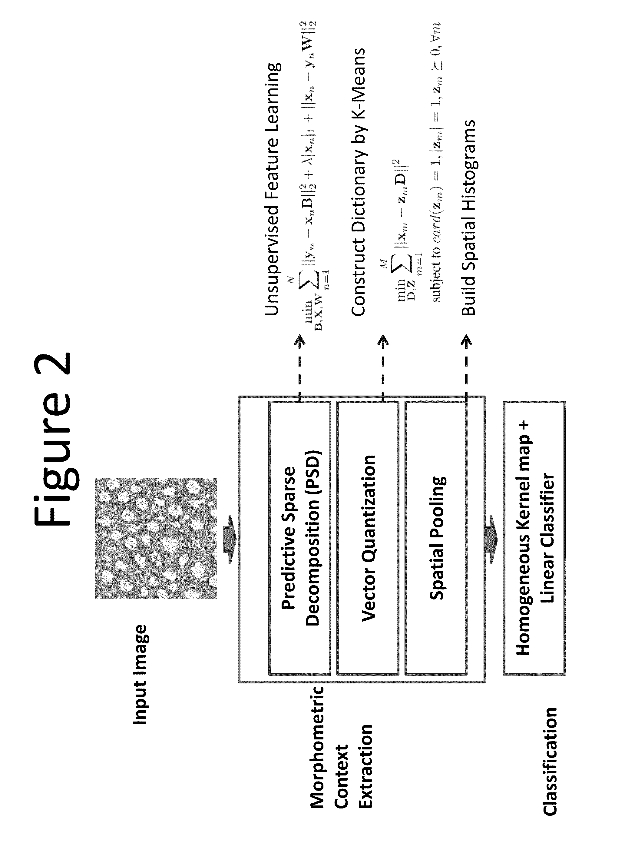 Methods for delineating cellular regions and classifying regions of histopathology and microanatomy