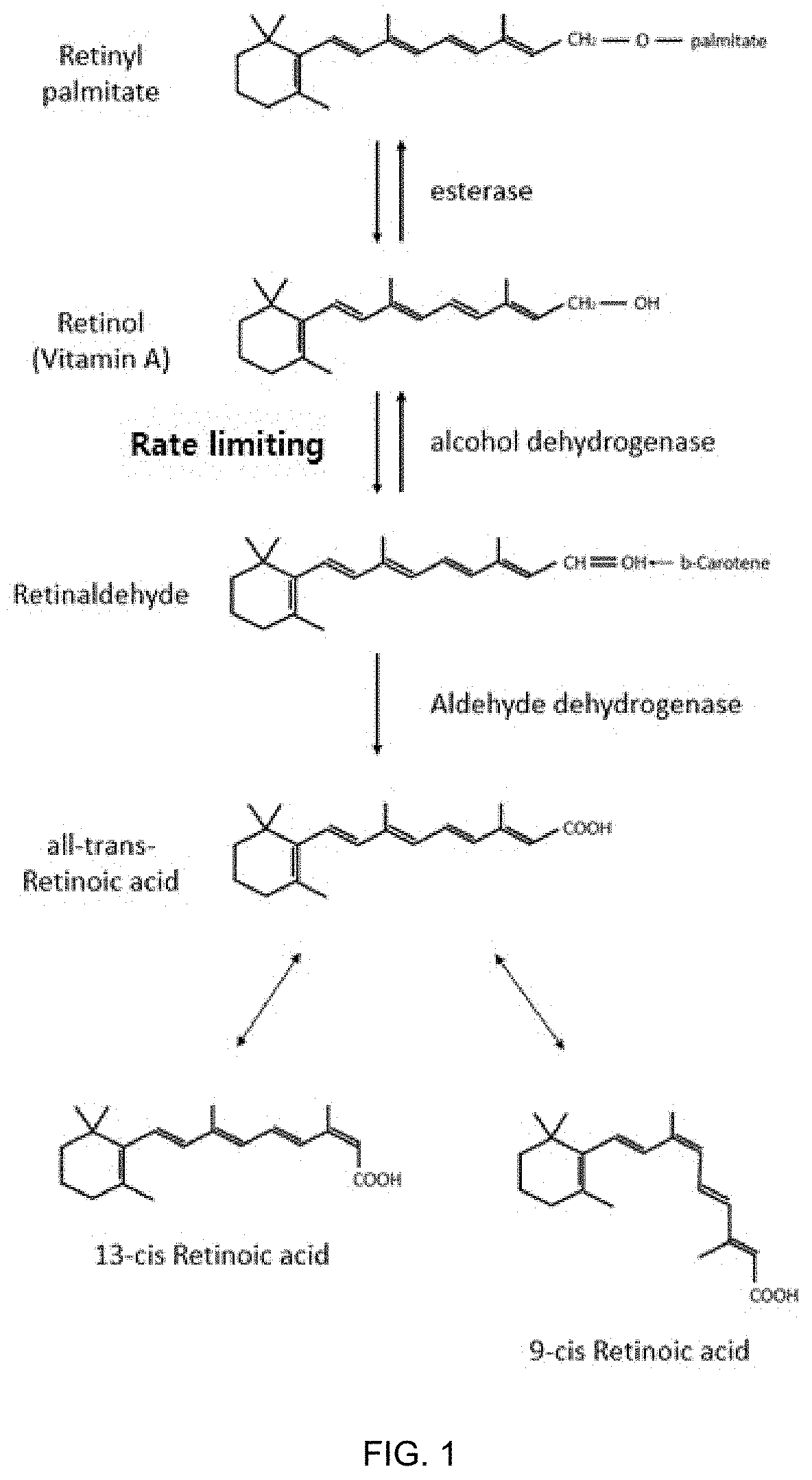 Retinal-containing multilamellar vesicle and cosmetic composition comprising same