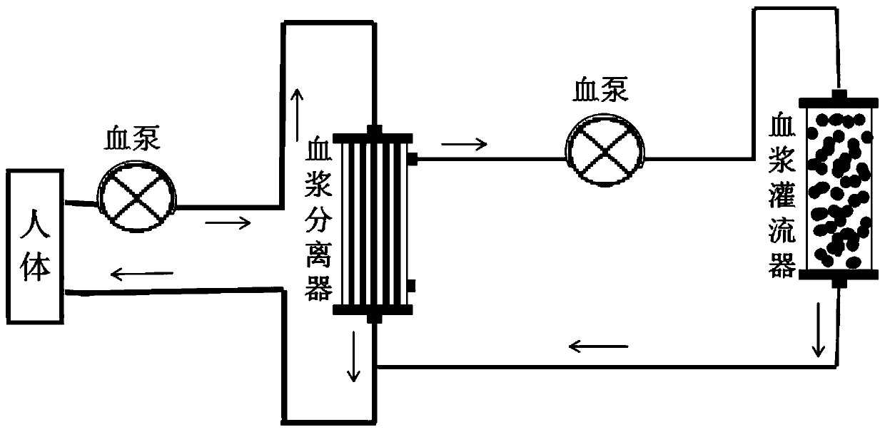 Membrane separation-perfusion coupled blood purification apparatus