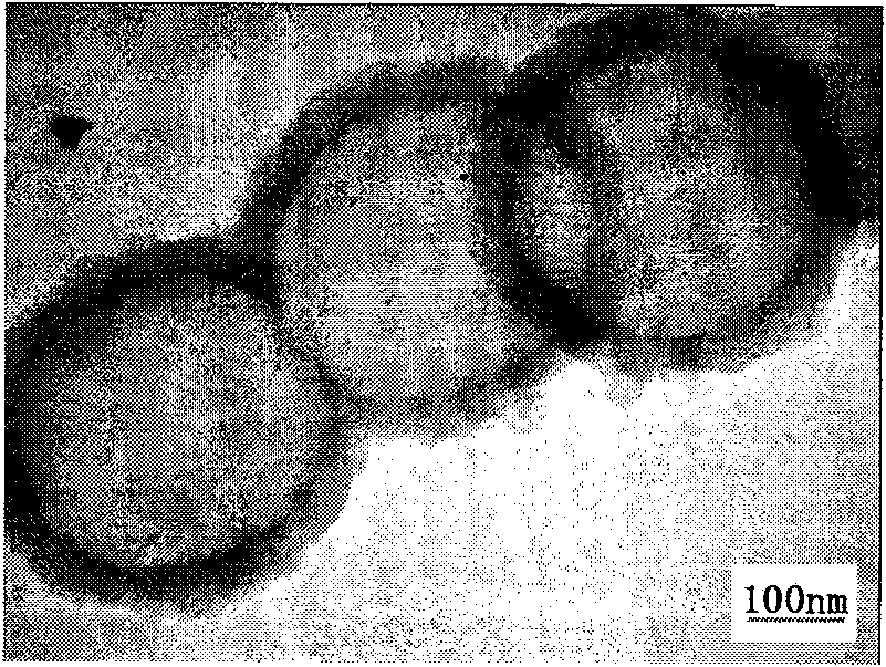 A metal/ polymer composite particle and method of preparing the same