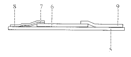 Detection method of lactoferrin in tears and dedicated colloidal gold detecting card thereof