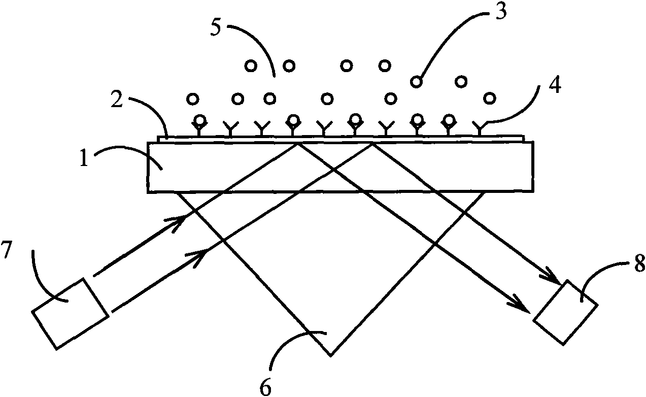 Waveguide coupling metal photonic crystal biosensor and detecting method thereof