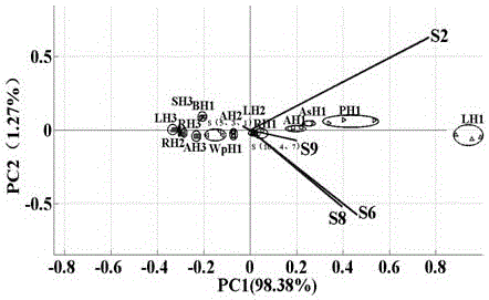 Method for identifying honey quality through physical and chemical indexes and electronic nose technology