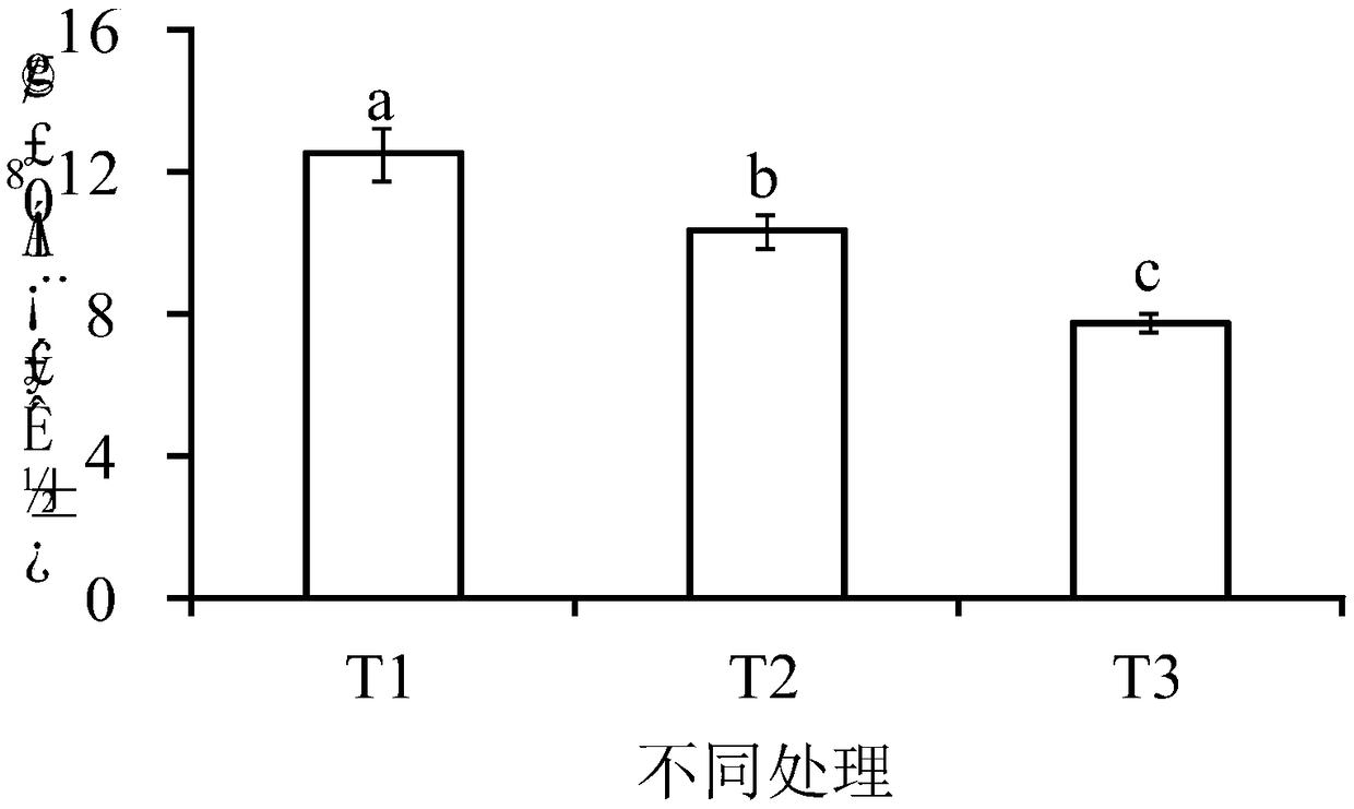 Preventing and treating method of muskmelon successive cropping obstacle