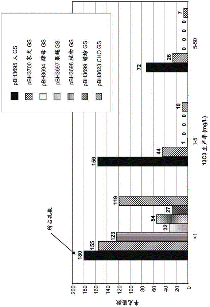 Cho expression system