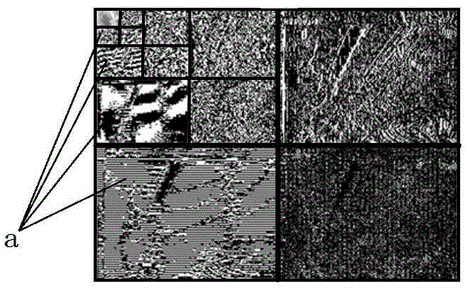 Method and system for removing stripe noise on the basis of Wavelet transform and Fourier transform