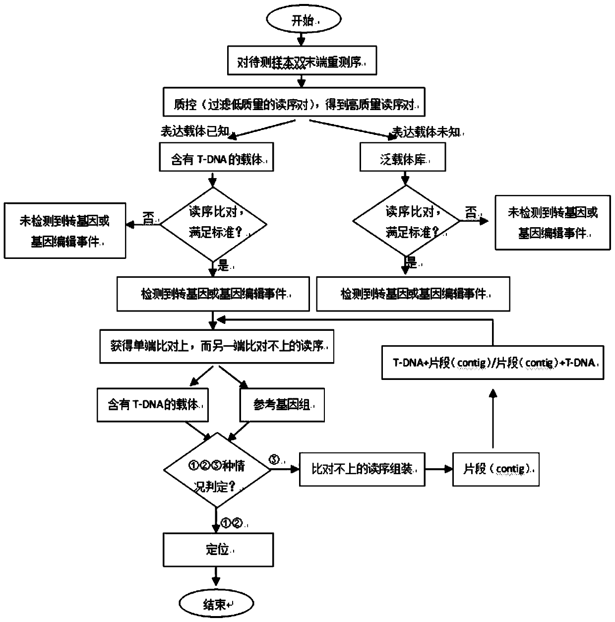 Method for rapidly identifying transgenic or gene editing material and insertion site thereof by using whole genome resequencing data