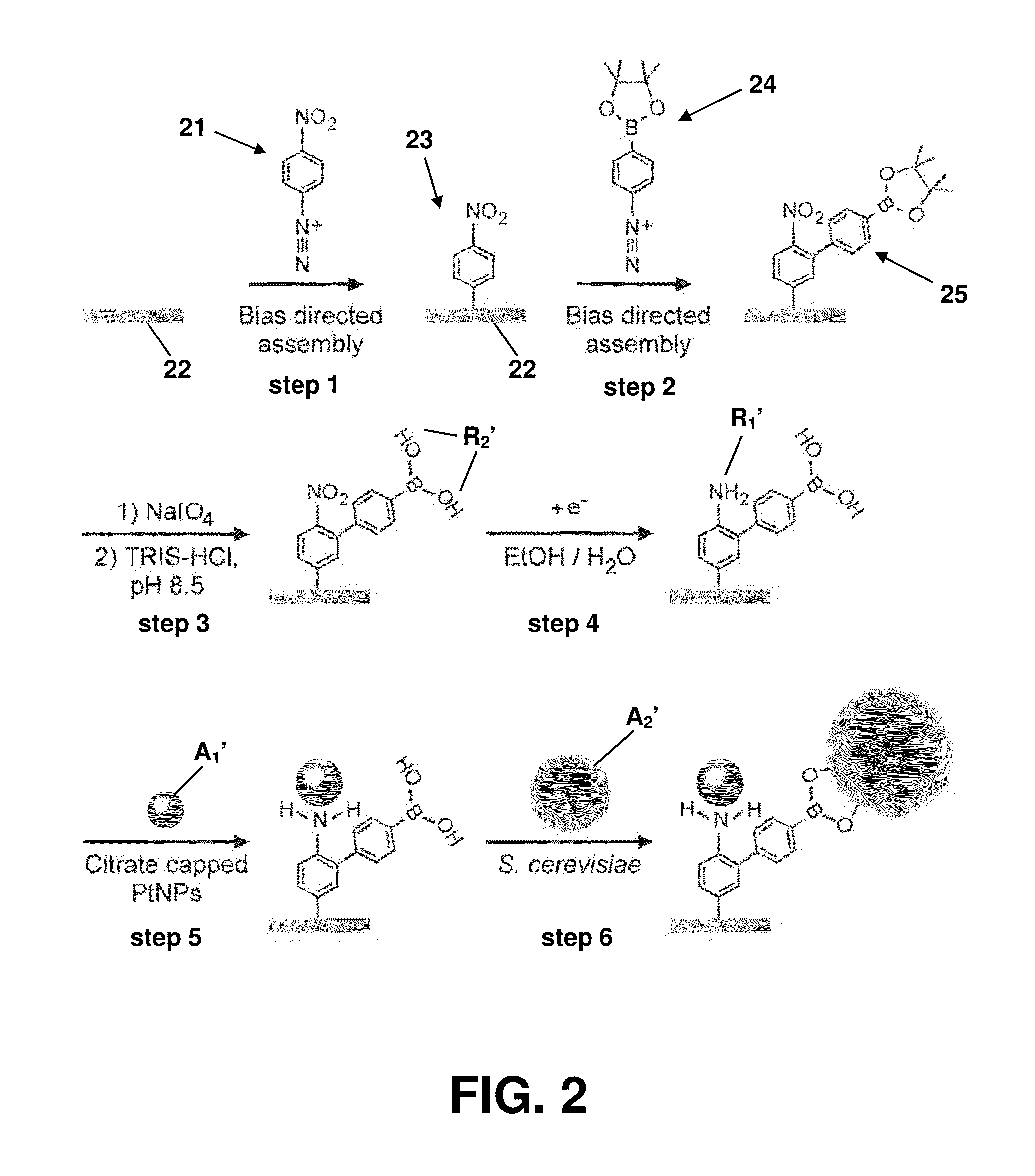 Multifunctional thin film surface