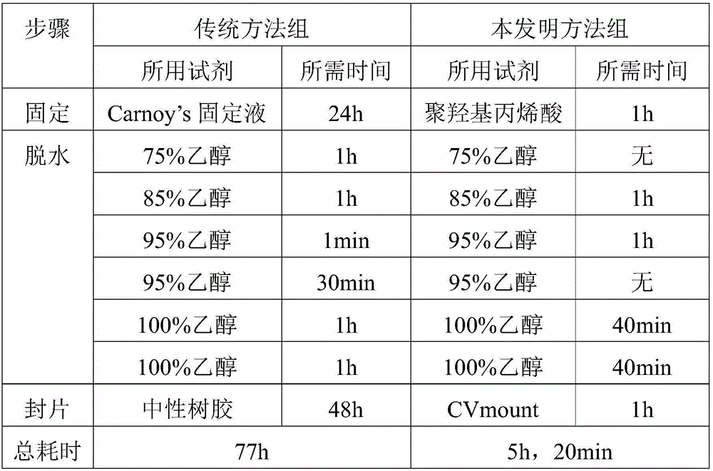 Paraffin sectioning method for eucalyptus tissue