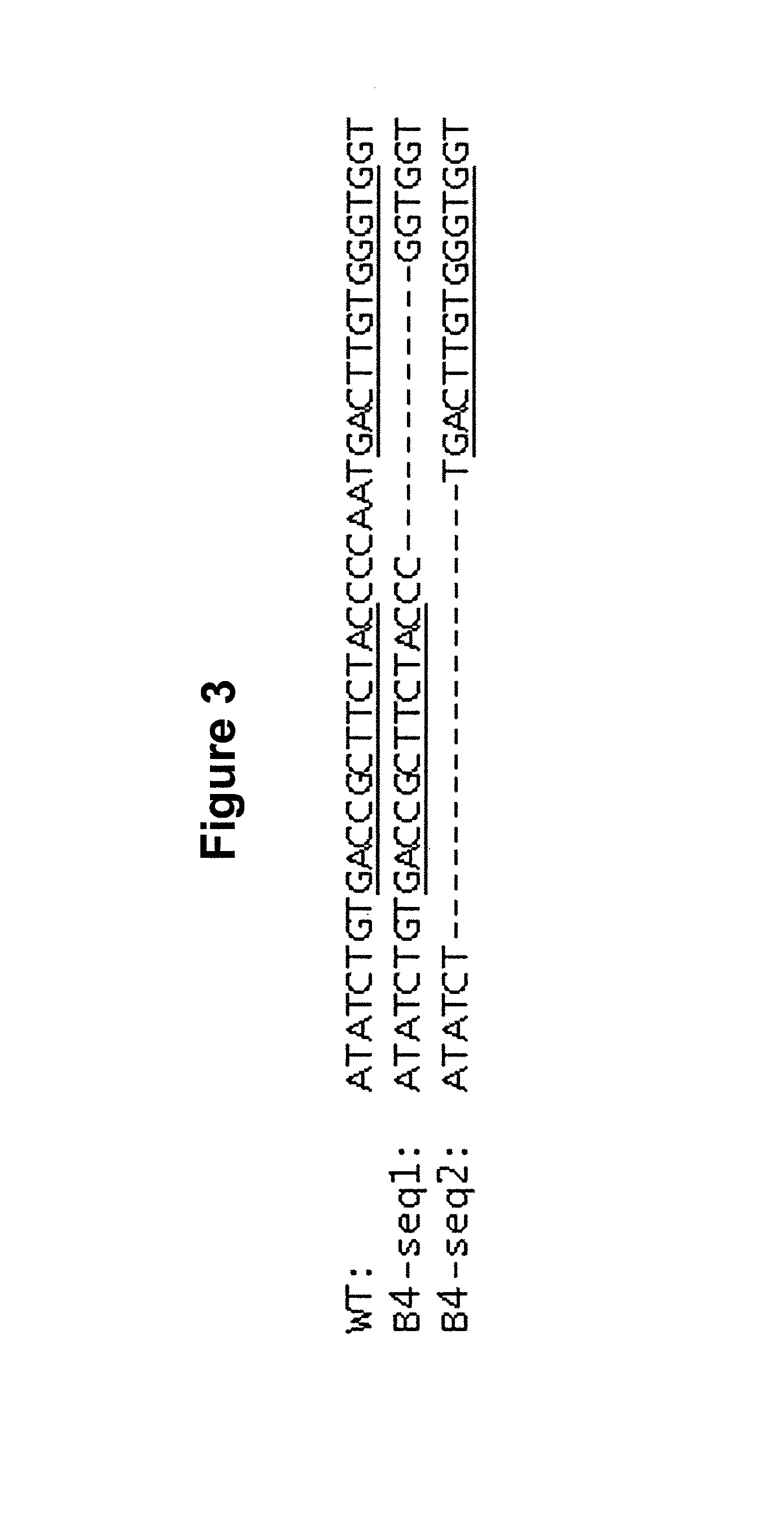 Methods and compositions for inhibiting viral entry into cells