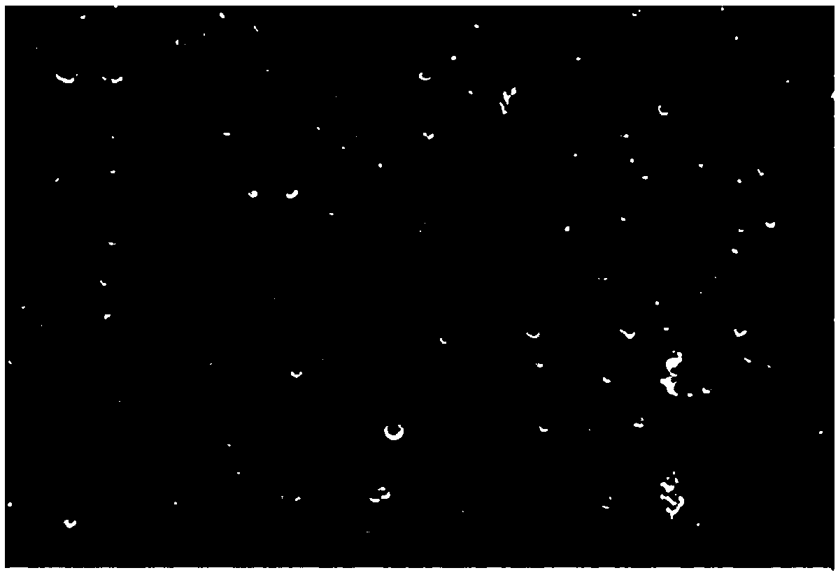 Phytic acid-metal ion complex composite nano-filtration membrane and preparation method thereof