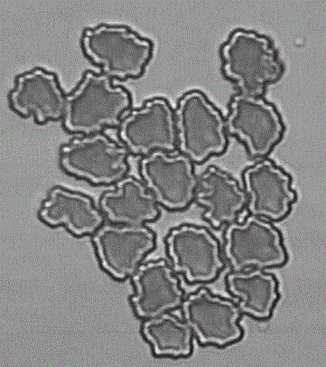 Delustering high-strength viscose fiber and preparation method and application thereof