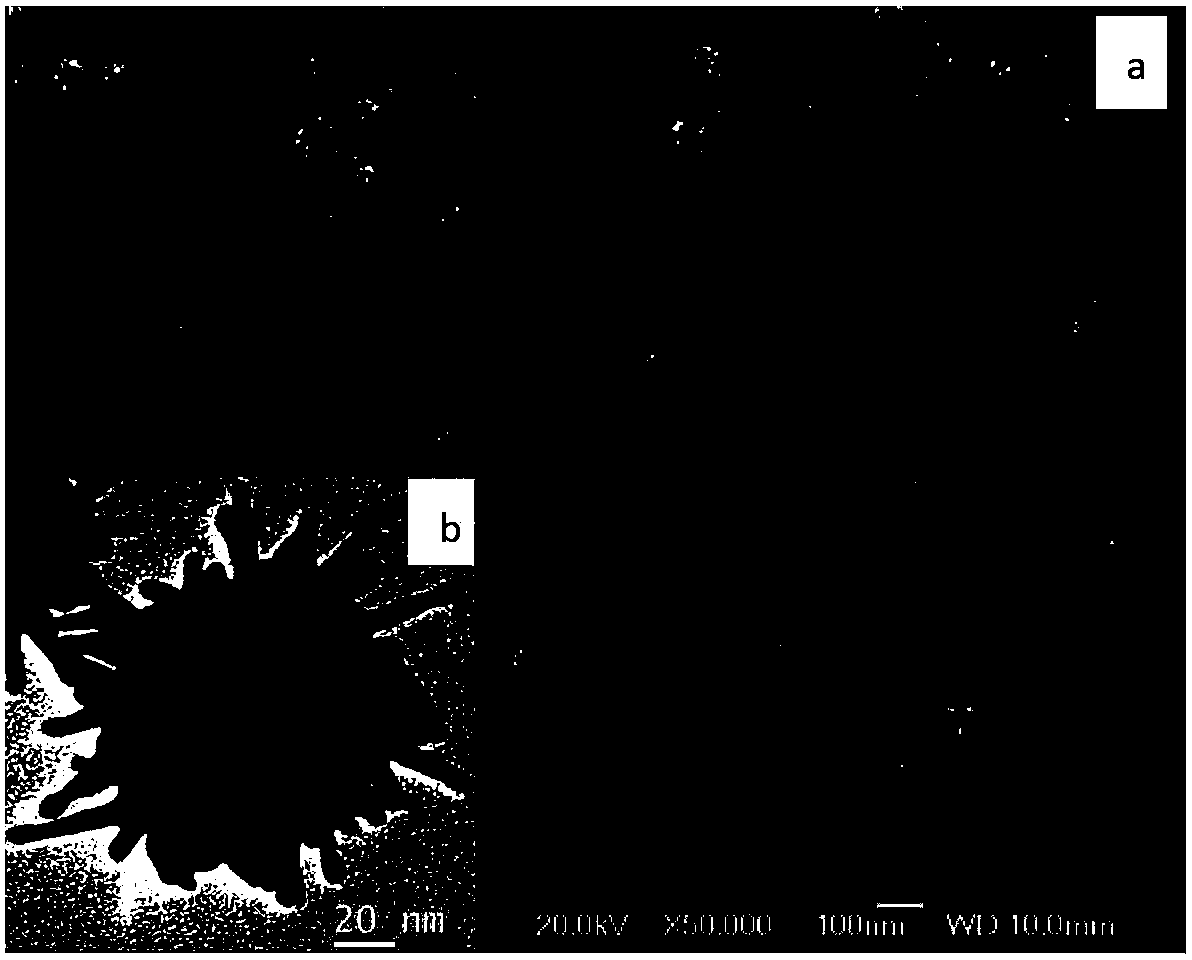 Sea urchin-shaped hollow gold and silver alloy nano particle and preparation method and application thereof