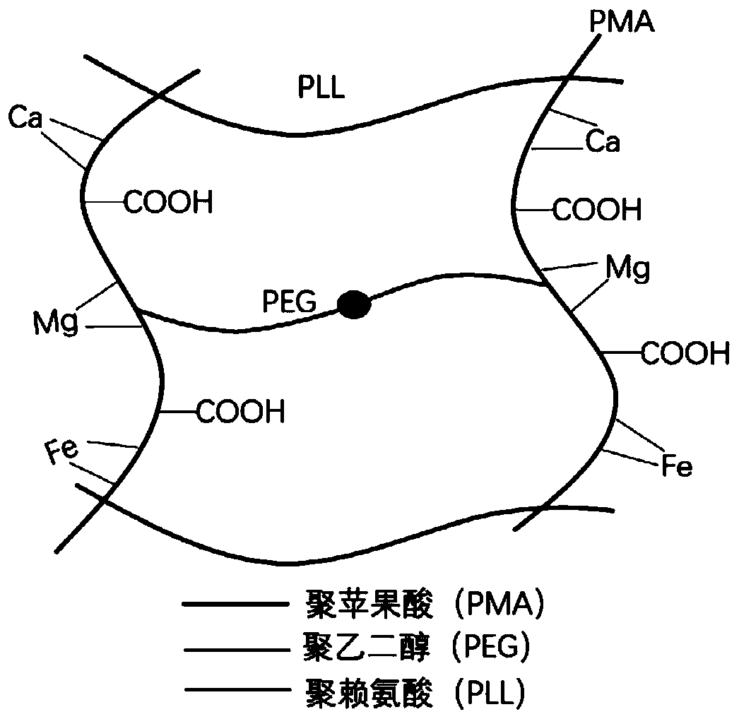 Carboxylated PEG derivative, hydrogel based on carboxylated PEG derivative as well as preparation methods and applications thereof