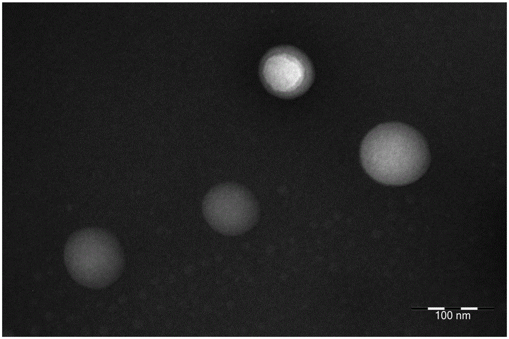 Anti-tumor medicine coupler decorated with saturated fatty acid and self-assembling nanometer system and preparation method of anti-tumor medicine coupler