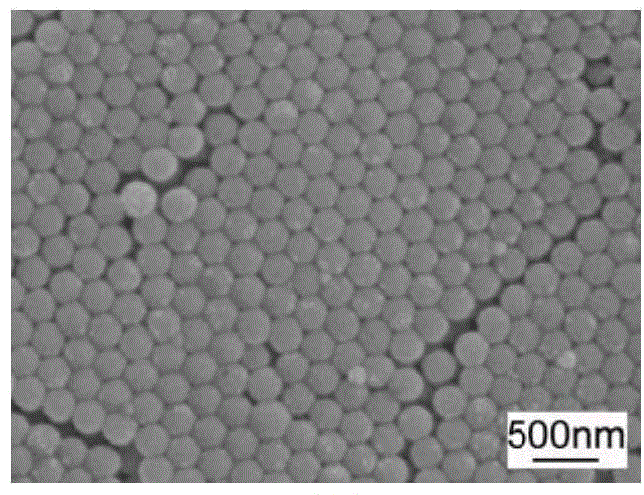 A kind of high flux polyphenylene ether microfiltration membrane and preparation method thereof