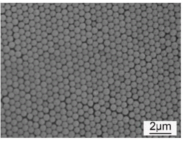 A kind of high flux polyphenylene ether microfiltration membrane and preparation method thereof