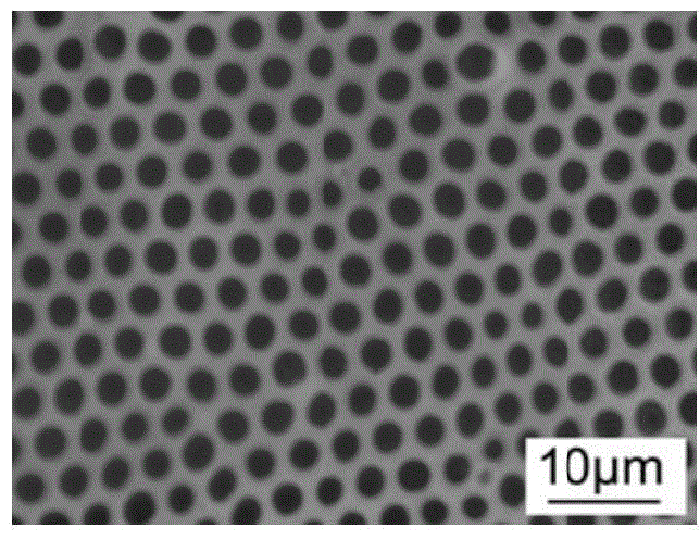 A kind of high flux polyphenylene ether microfiltration membrane and preparation method thereof