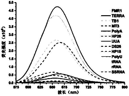 Fluorescent probe for selectively detecting RNA G-quadruplex in cells as well as preparation method and application of fluorescent probe