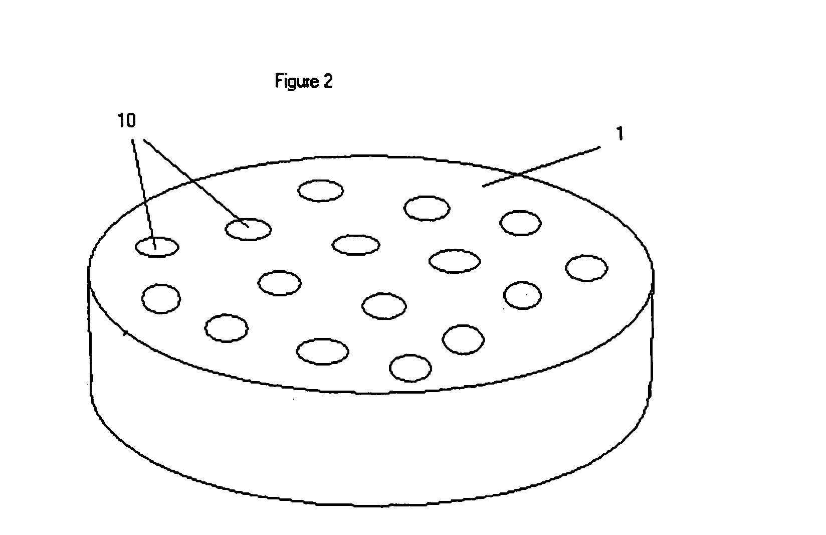 Load bearing biocompatible device