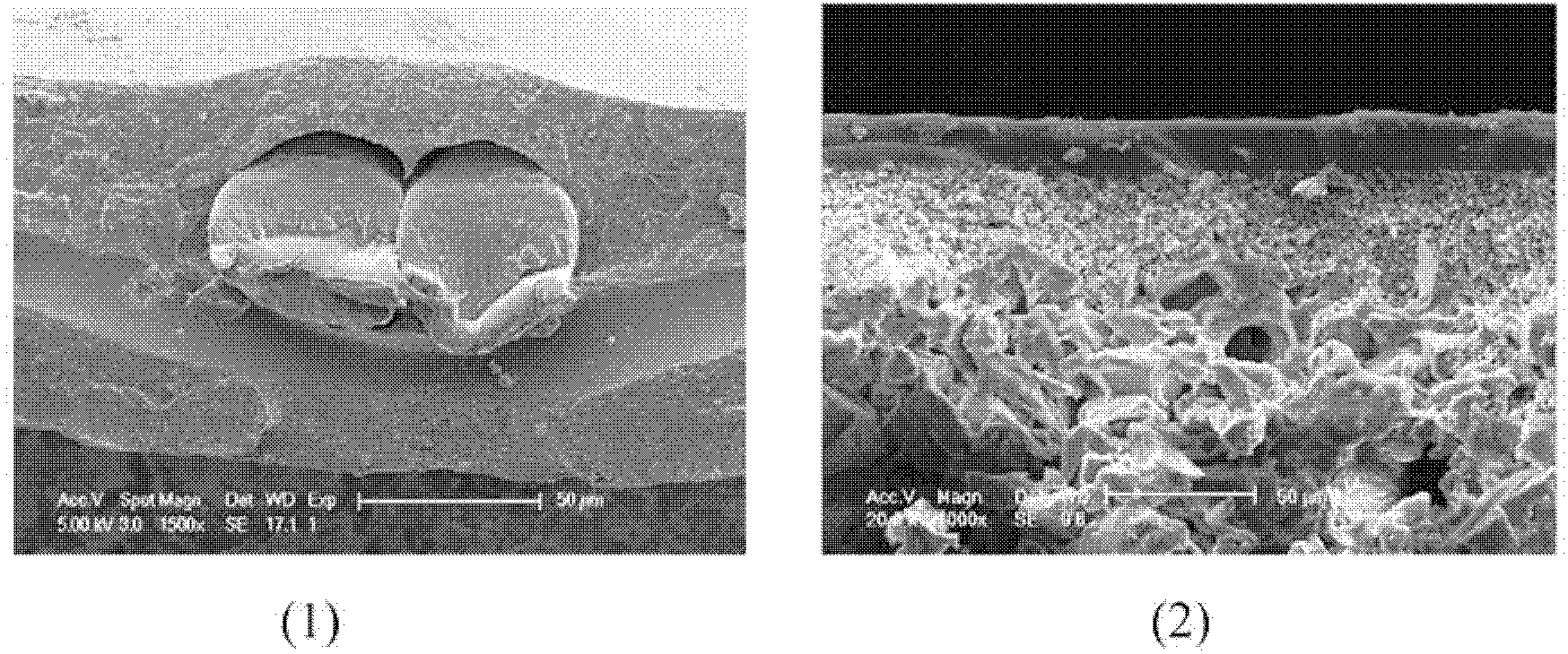 Coating liquid, organic-inorganic hybrid cation exchange membrane and preparation method thereof