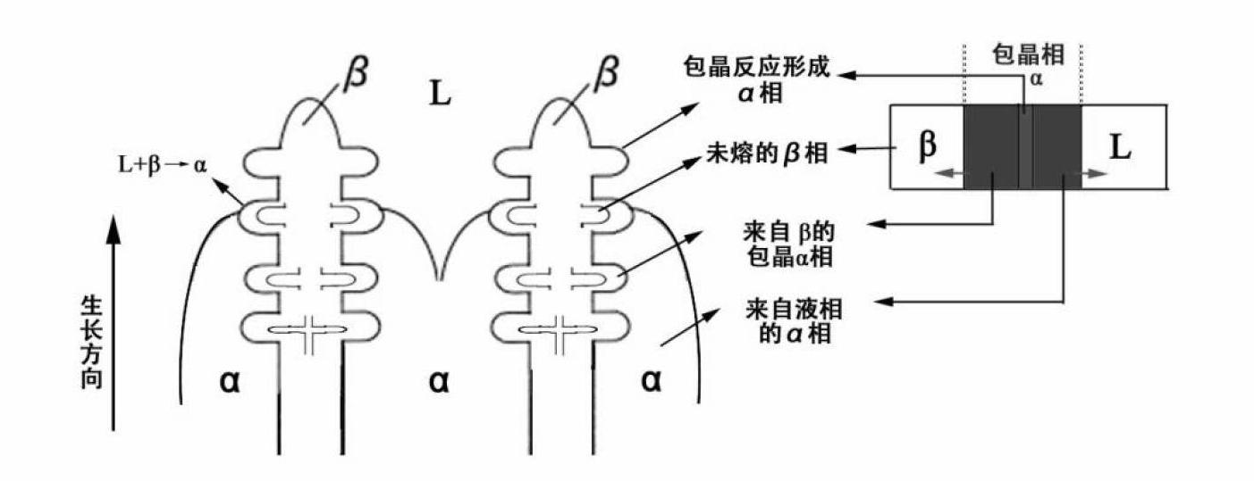 Direct control method for titanium-aluminum-niobium alloy lamellar structure