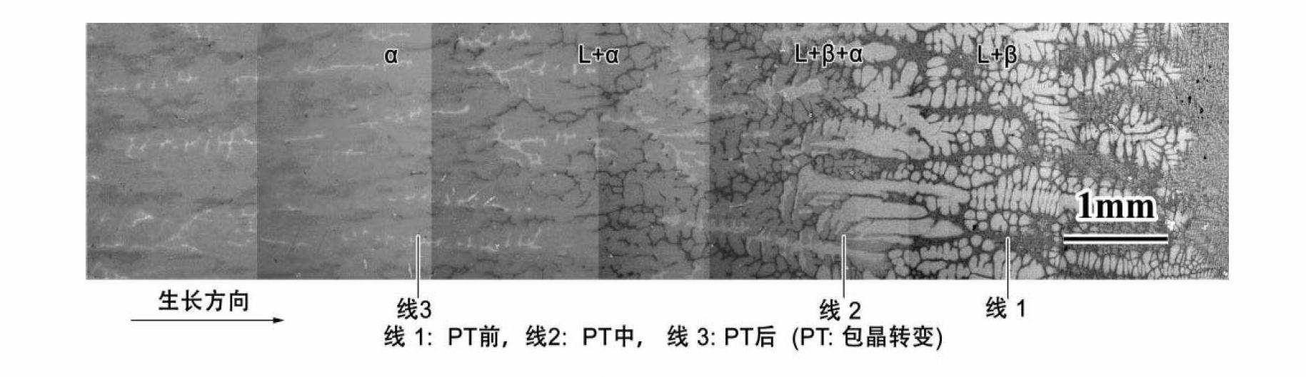 Direct control method for titanium-aluminum-niobium alloy lamellar structure