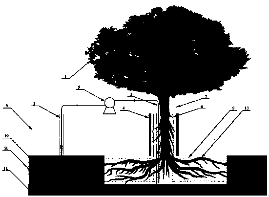 Plant-microorganism comprehensive contaminated soil and underground water remediation system