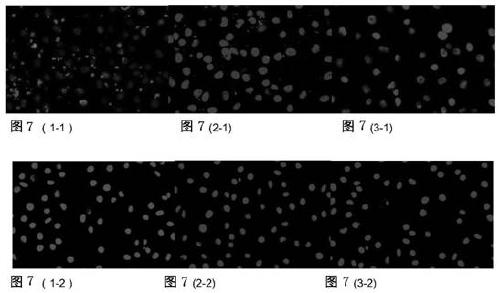 F3 polypeptide targeted nano organic metal frame material (nMOFs) and preparation method thereof