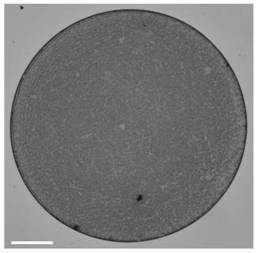 Method for inducing liquid-phase self-assembly of nanoparticles based on evaporation