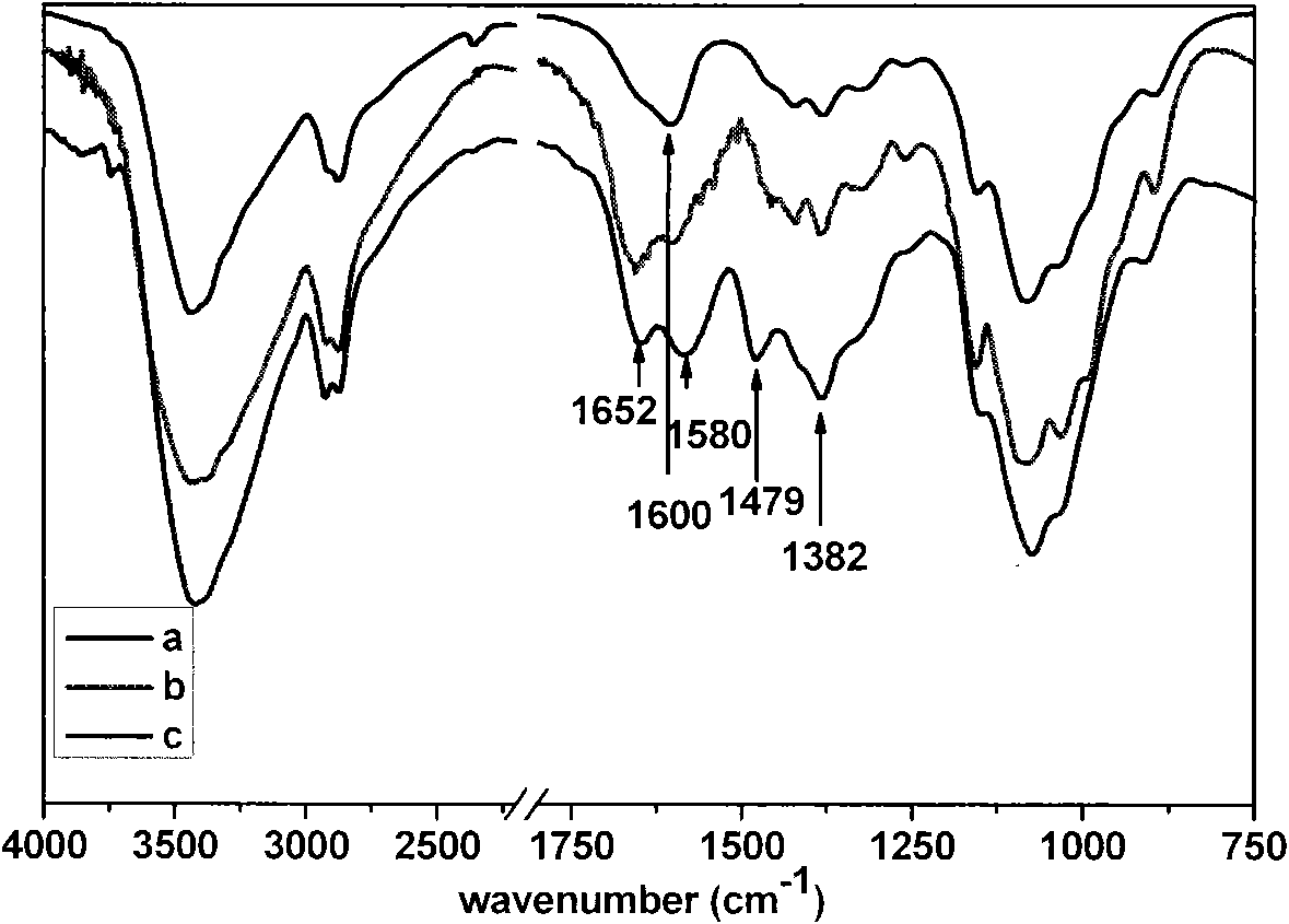 Cationic amphiphilic chitosan nano drug carrier and preparation method and application thereof