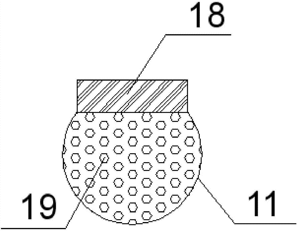 Egg preservation box