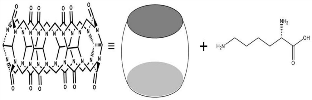 A recognition of lysine decarboxylase  <sup>129</sup> xe"r  <sub>2</sub> "Relaxation switch type" magnetic resonance molecular probe