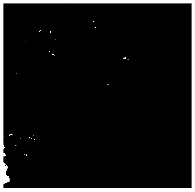 Method and system for testing skid resistance of asphalt mixture based on digital image technology