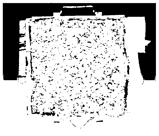 Method and system for testing skid resistance of asphalt mixture based on digital image technology