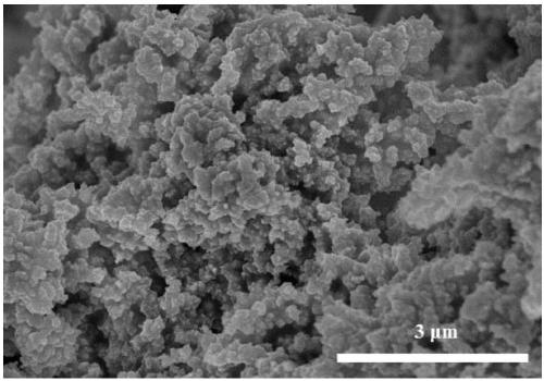 Nonmetal-ion-doped lanthanum tungstate type mixed proton-electron conductor hydrogen permeation material, and preparation method and application of same