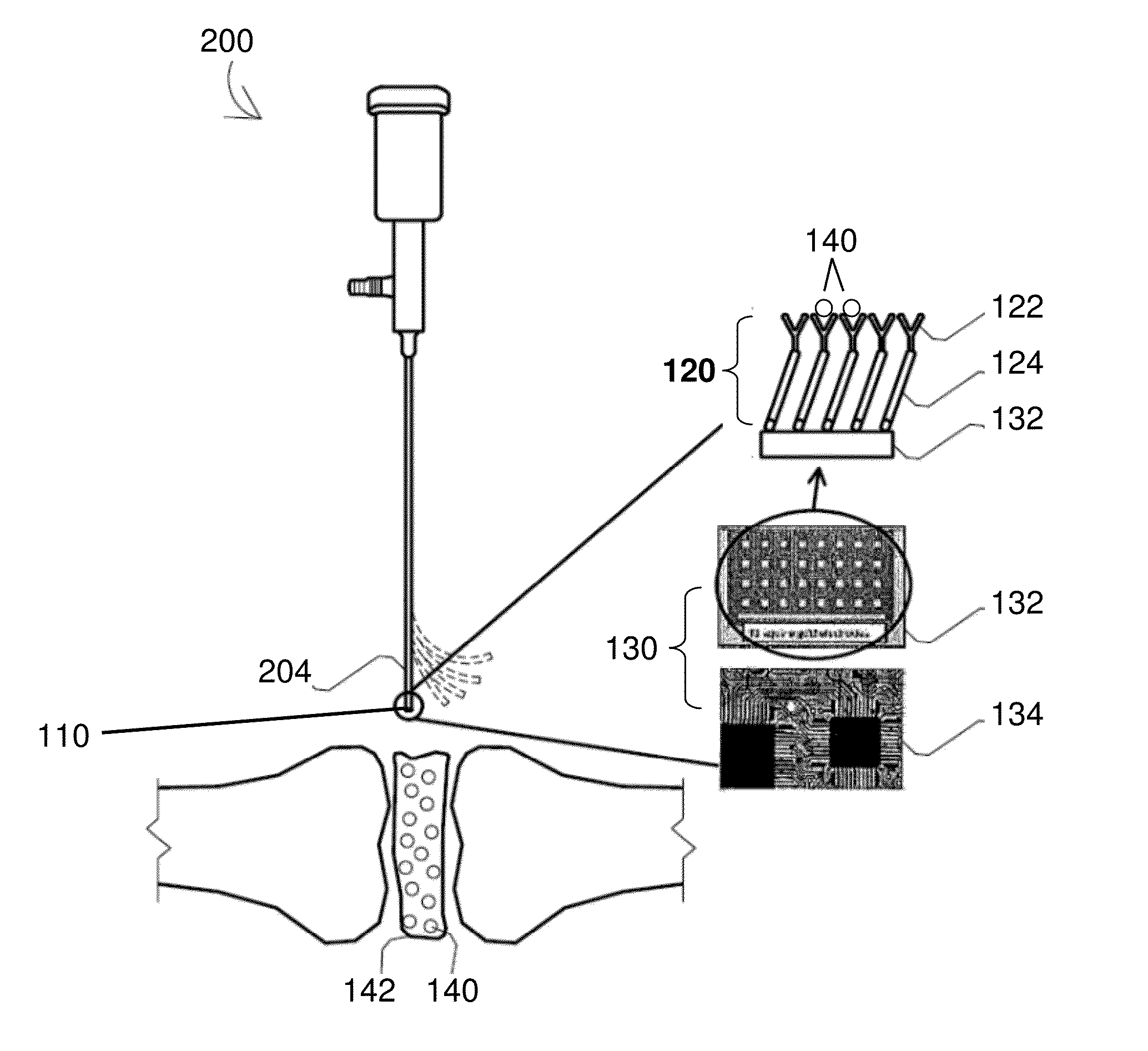 A Biosensor Device to Target Analytes in Situ, in Vivo, and/or in Real Time, and Methods of Making and Using the Same