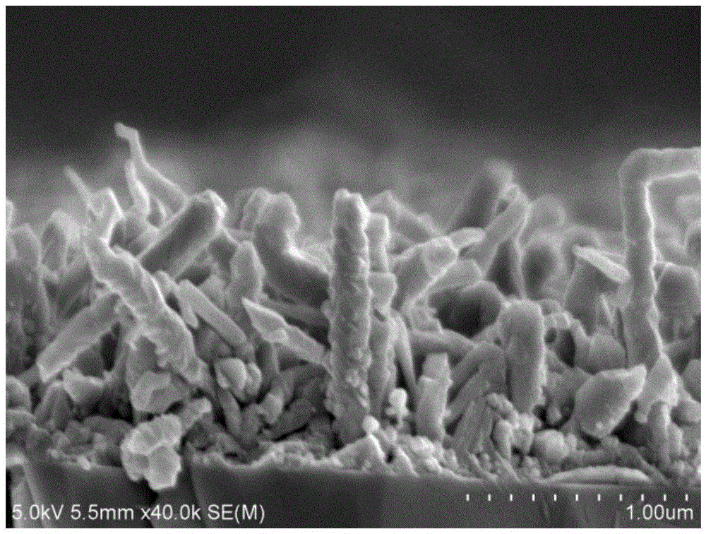 Ultraviolet detector based on gallium oxide nanowire array and preparation method thereof