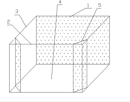 Novel multi-face fish tank