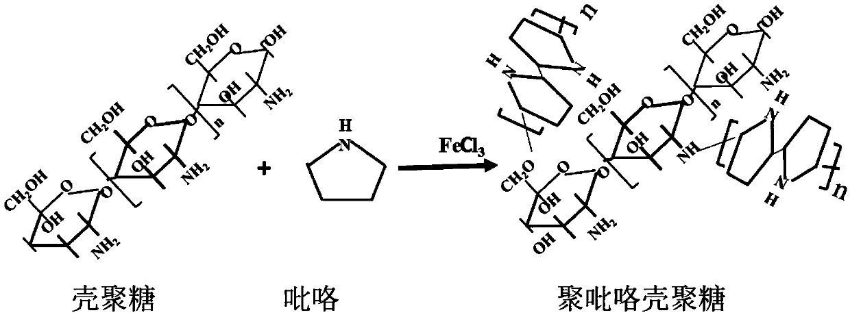 3D polypyrrole chitosan gelatin composite electric conduction material and preparation method thereof