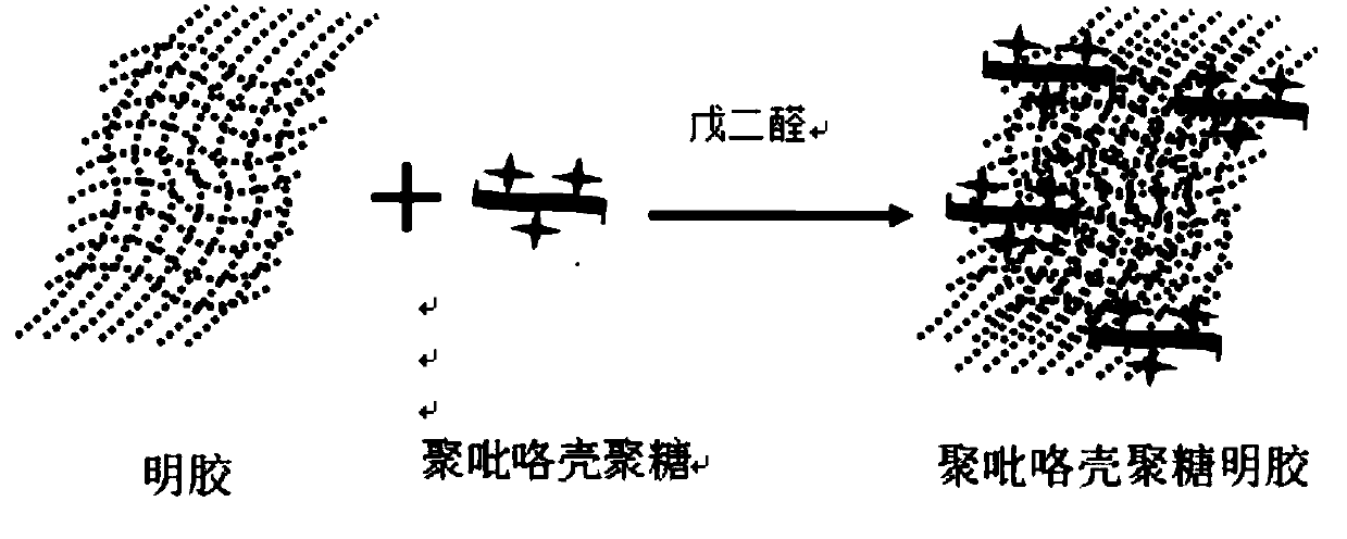 3D polypyrrole chitosan gelatin composite electric conduction material and preparation method thereof