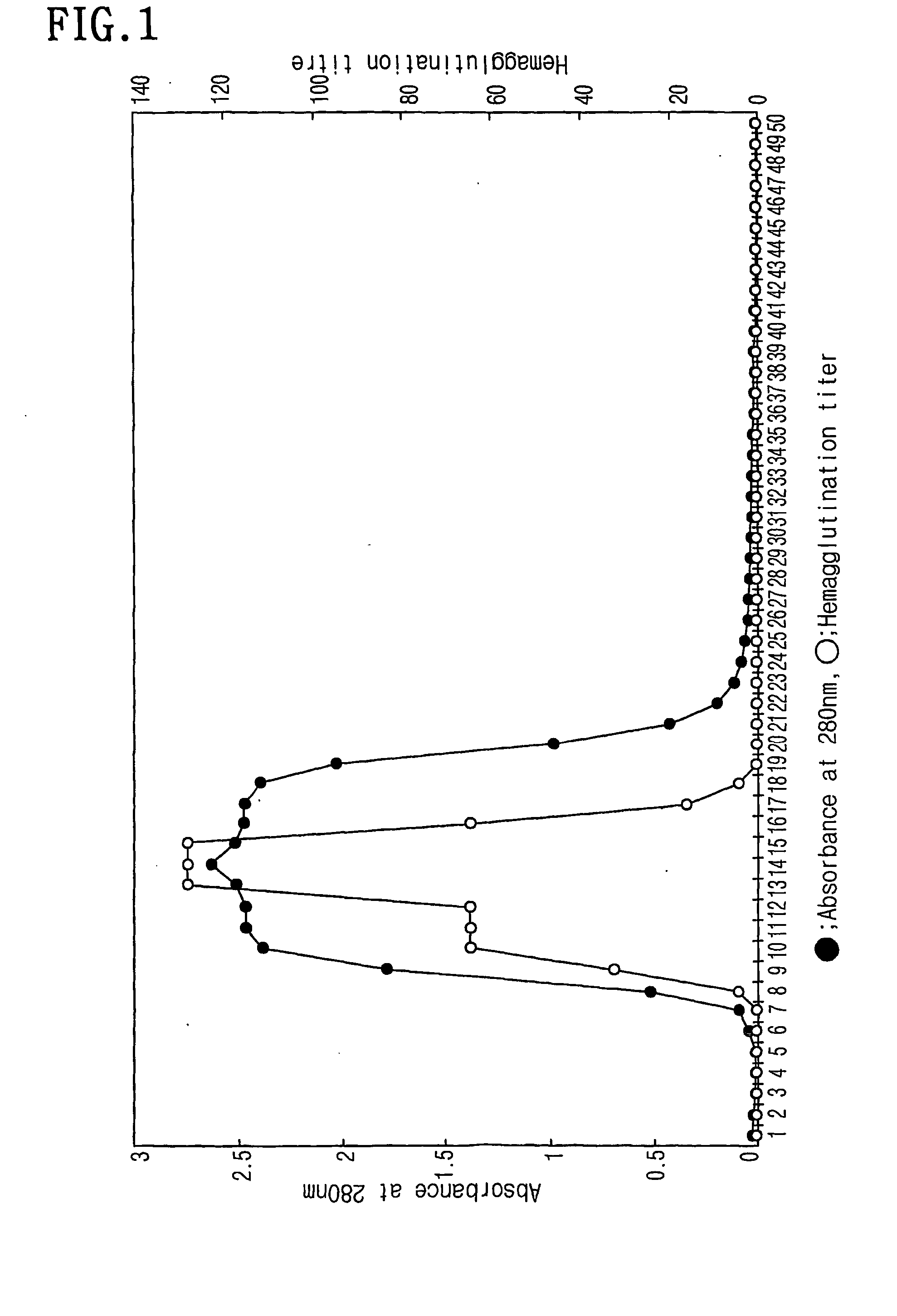 Lectin protein prepared from maackia fauriei, process for preparing the same and the use thereof