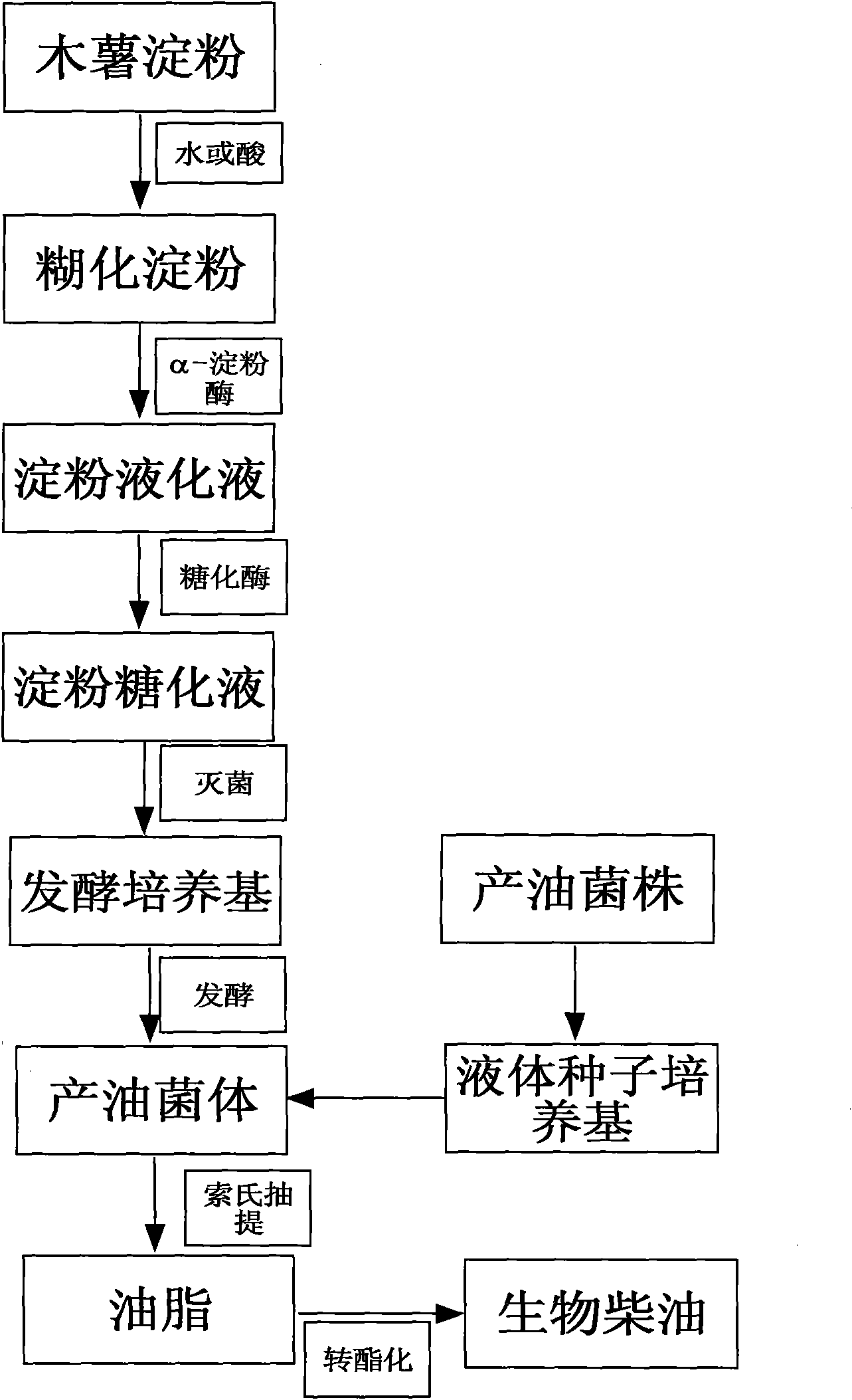 Method for preparing microbial oil by fermenting cassava starch and preparing biomouldsel from microbial oil