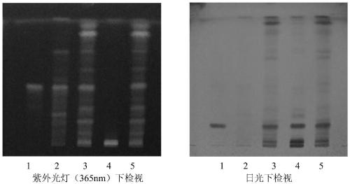 A kind of detection method of finished product of Xianling Gubao Capsule