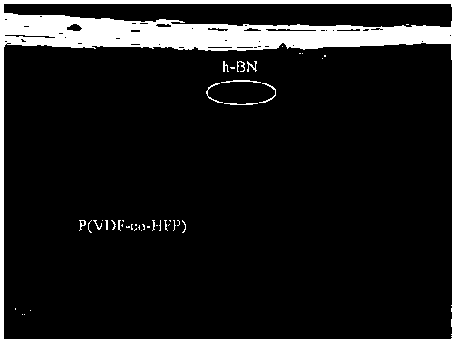 High energy storage efficiency ferroelectric polymer matrix dielectric film, preparation method of the same, and application of the same