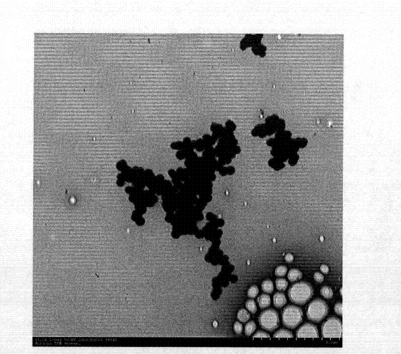 Preparation method of nanometer carbon-based solid acid