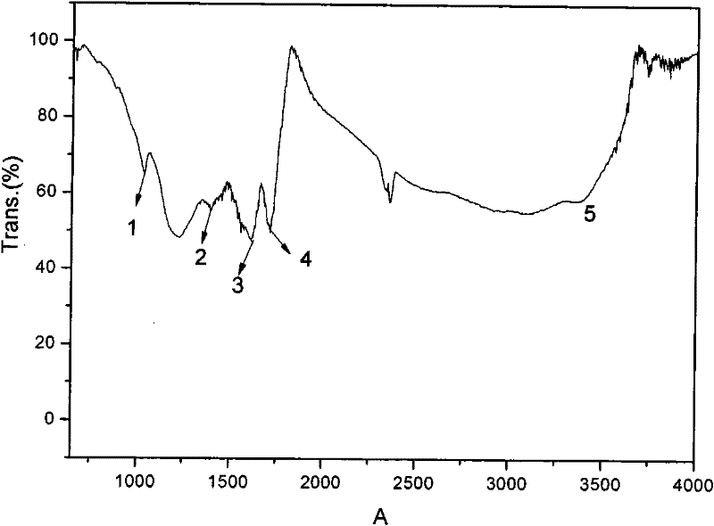 Preparation method of nanometer carbon-based solid acid